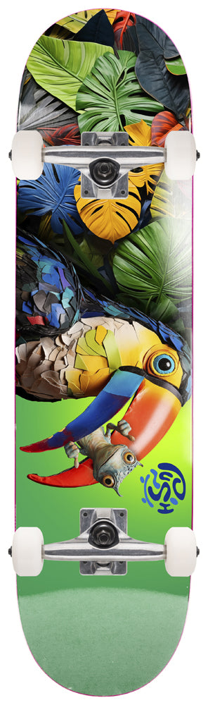 Komplettboard Push Toucan