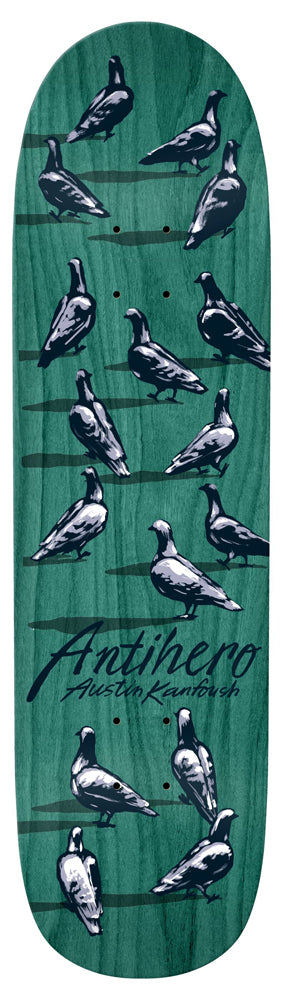Deck Anti Hero Kanfoush Dawn Of The Pigeon