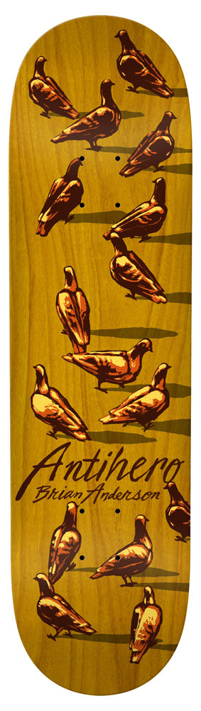 Deck Anti Hero Anderson Dawn Of The Pigeon