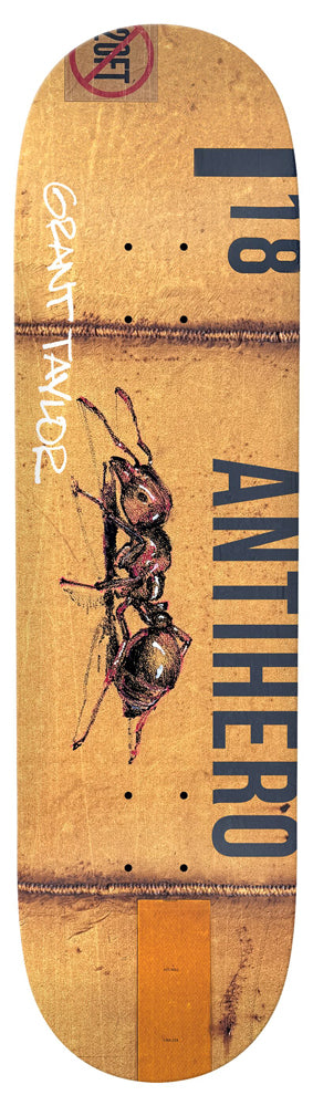 Deck Anti Hero Taylor Intermodal