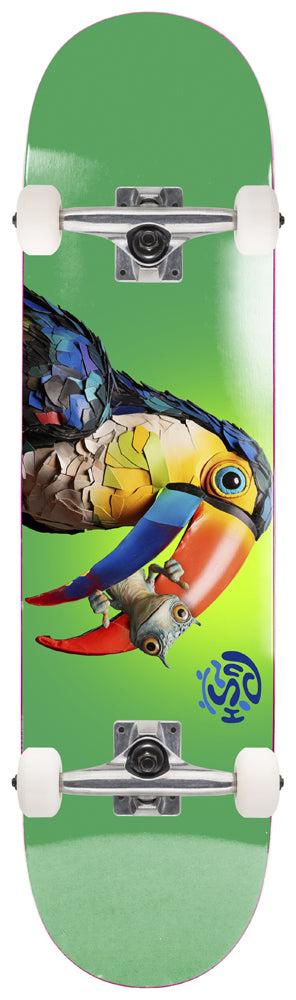 Komplettboard Push Toucan Fade FP