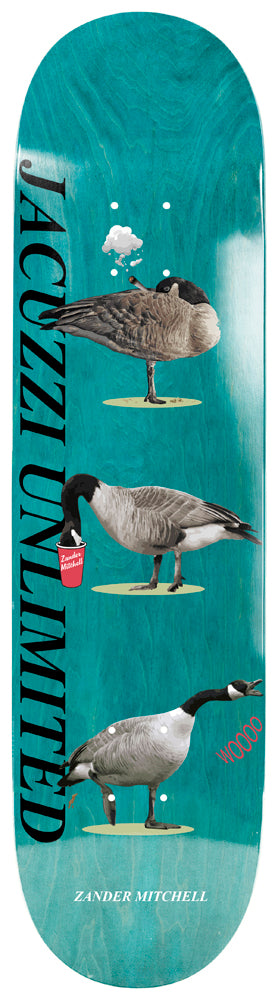 Deck Jacuzzi Mitchell Geese