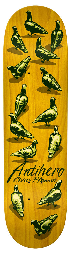 Deck Anti Hero Pfanner Dawn Of The Pigeon