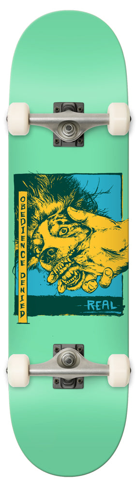 Komplettboard Real Obedience